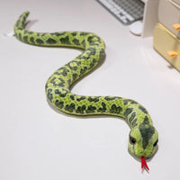 Green python
