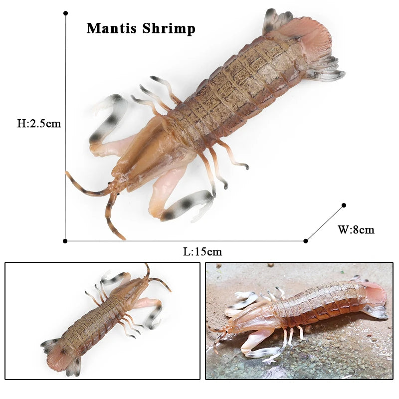 Oenux Ocean Animals Simulation Tiger Prawn Crayfish Shrimp Sea Life Model Figurines Action Figures Collection Toys For Kids Gift