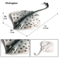 1pcs fish animals 12