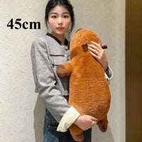 45cm