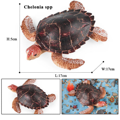 Oenux Ocean Animals  Leatherback Tortoise Turtle Growth Cycle Sea Life Model Figurines Action Figures PVC Education Kid Toy Gift