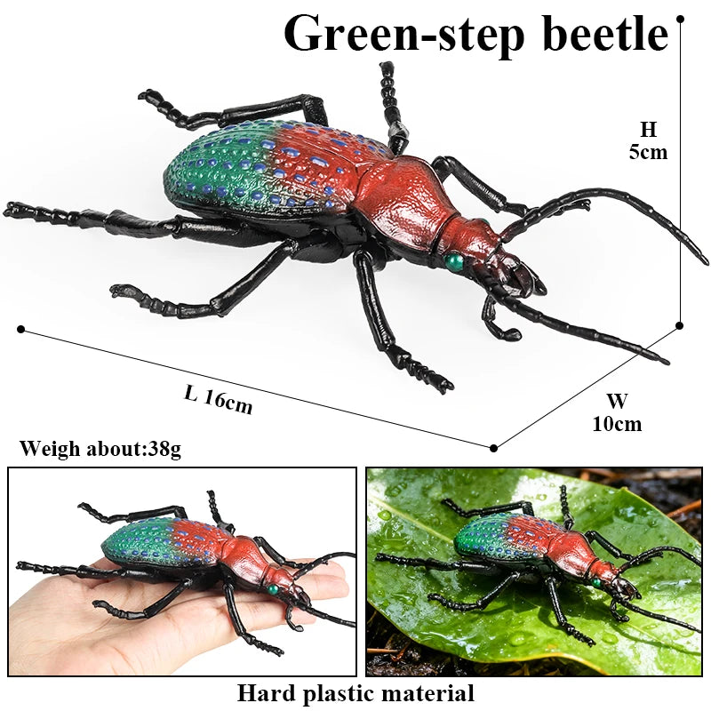 Oenux Insect Animals Model Figurine Butterfly Ant Dragonfly Spider Bee Mantis Scorpion Action Figures Educational Kid Toy Gift