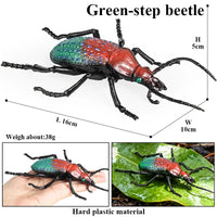 insect model 8