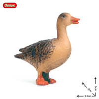 animals model 12