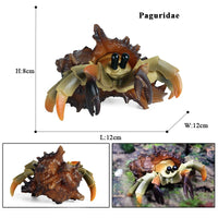 animal model 8