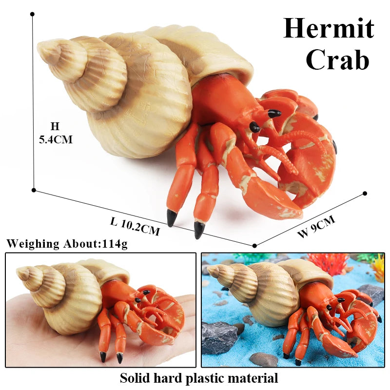 Oenux Ocean Animals Simulation Hermit Crab Nautiloidea Octopus Sea Life Model Figurines Action Figures Collection Kids Toy Gift