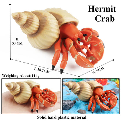 Oenux Ocean Animals Simulation Hermit Crab Nautiloidea Octopus Sea Life Model Figurines Action Figures Collection Kids Toy Gift