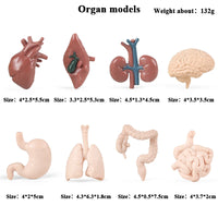 8pcs 1