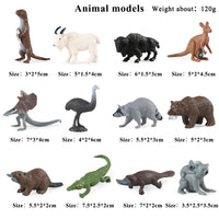 12pcs 22