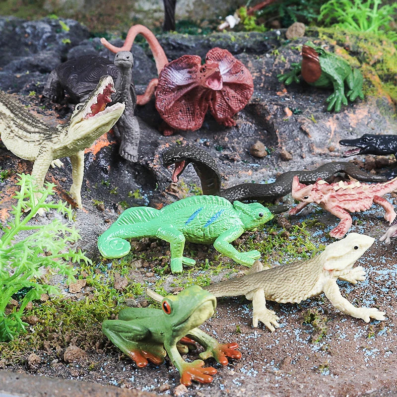 Oenux Montessori Toy Wild Farm Dinosaur Ocean Cat Animals Model Action Figure Zoo Figurines Cute Miniature Education Kid Gift