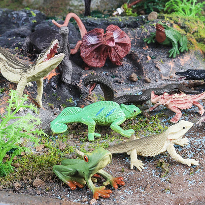 Oenux Montessori Toy Wild Farm Dinosaur Ocean Cat Animals Model Action Figure Zoo Figurines Cute Miniature Education Kid Gift