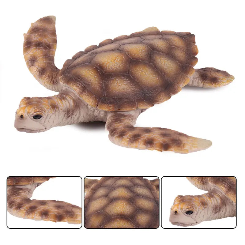 Oenux Ocean Animals  Leatherback Tortoise Turtle Growth Cycle Sea Life Model Figurines Action Figures PVC Education Kid Toy Gift