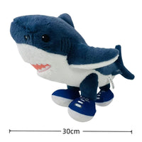 30cm 2