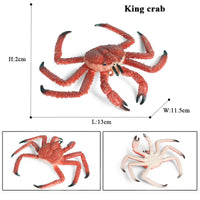 animal model 7