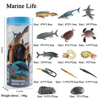 animals model set 2
