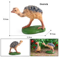 bird 14