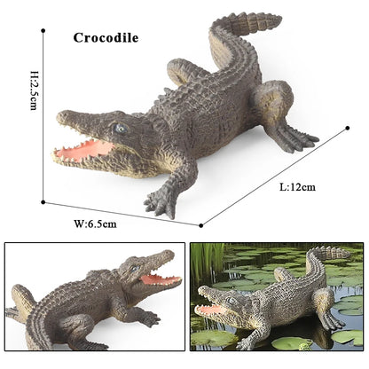 Oenux Wild Animals Action Figures Simulation Sarcosuchus Crocodiles Boar Croc Model PVC Collection Decorate Kids Educational Toy