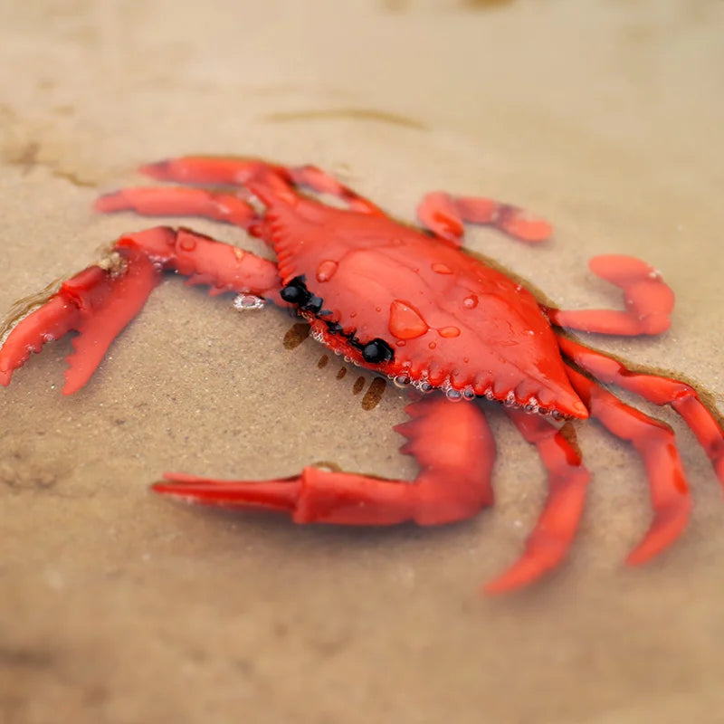 Oenux Simulation Ocean Sea Life Animals Model Lovely Crab Action Figures Toy Cake Toppers Collection Jouet Kids Education Gift