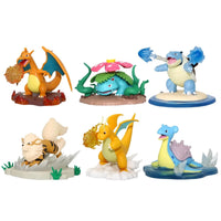 Set of 6 BOX