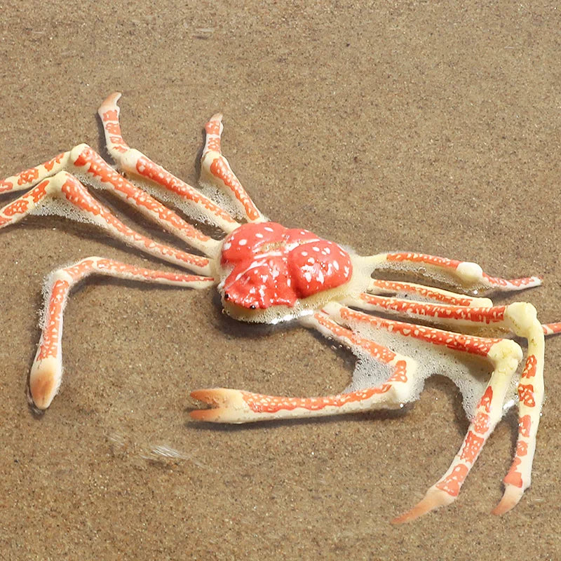 Oenux Simulation Ocean Sea Life Animals Model Lovely Crab Action Figures Toy Cake Toppers Collection Jouet Kids Education Gift