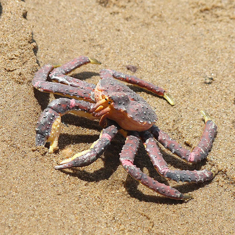 Oenux Simulation Ocean Sea Life Animals Model Lovely Crab Action Figures Toy Cake Toppers Collection Jouet Kids Education Gift
