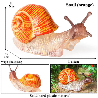 Oenux Wild Insect Animals Snails Growth Cycle Model Garden Decoration Figurines PVC Miniature Cute Education Kids Toys