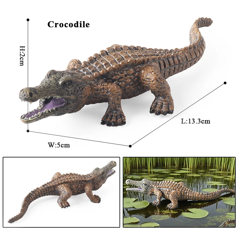 Oenux Wild Animals Action Figures Simulation Sarcosuchus Crocodiles Boar Croc Model PVC Collection Decorate Kids Educational Toy