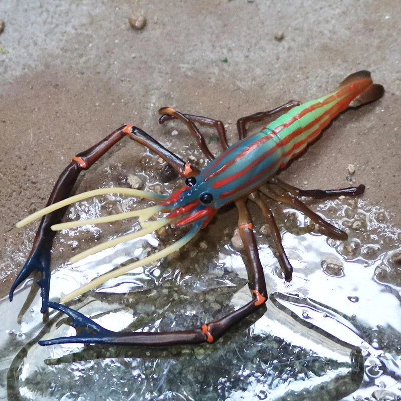 Oenux Ocean Animals Simulation Tiger Prawn Crayfish Shrimp Sea Life Model Figurines Action Figures Collection Toys For Kids Gift