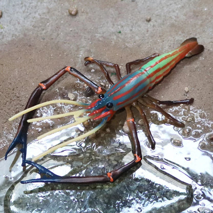 Oenux Ocean Animals Simulation Tiger Prawn Crayfish Shrimp Sea Life Model Figurines Action Figures Collection Toys For Kids Gift
