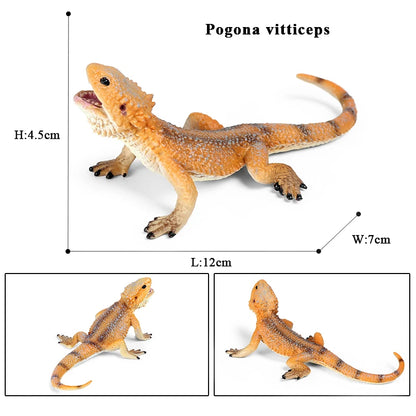 Oenux New Simulation Wild Reptile Animals Action Figures Lizard Model Figurines Kids Education Congnitive Scene Decoration Toy