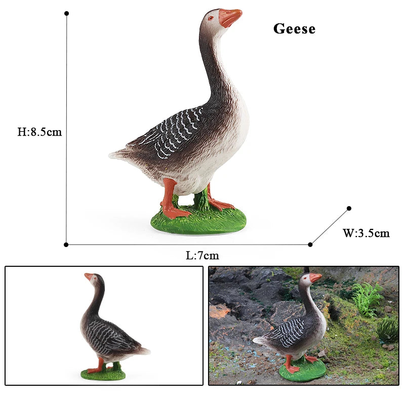 Oenux Poultry Model Simulation Goose Swan Gaggle Duck Flock Action Figures Farm Animals Figurine Miniature Education Kids Toy