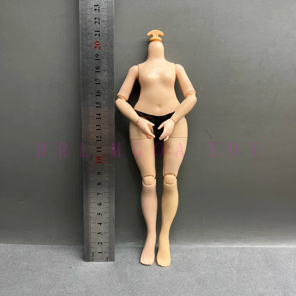 Original Slim Rainbow Middle School Doll Series 24cm Junior High School Sister and 28cm Big Sister Body DIY Toys