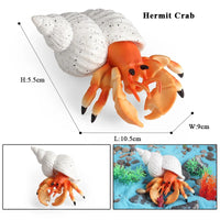 Crab model 3