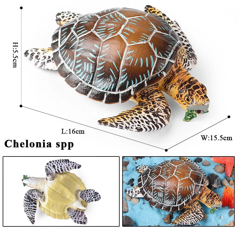 Oenux Ocean Animals  Leatherback Tortoise Turtle Growth Cycle Sea Life Model Figurines Action Figures PVC Education Kid Toy Gift