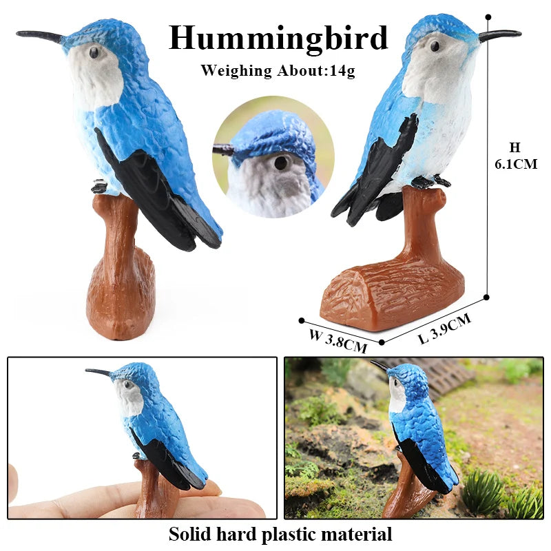 Oenux Garden Bird Figurines Snowy Owl Toucan Bucerotidae Animals Model PVC Action Figures Collection Toys For Kids Birthday Gift