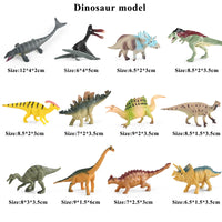 12pcs 24