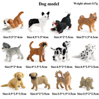 12pcs 16