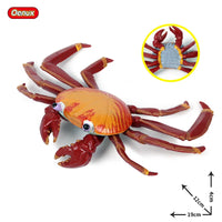 Crab model 4