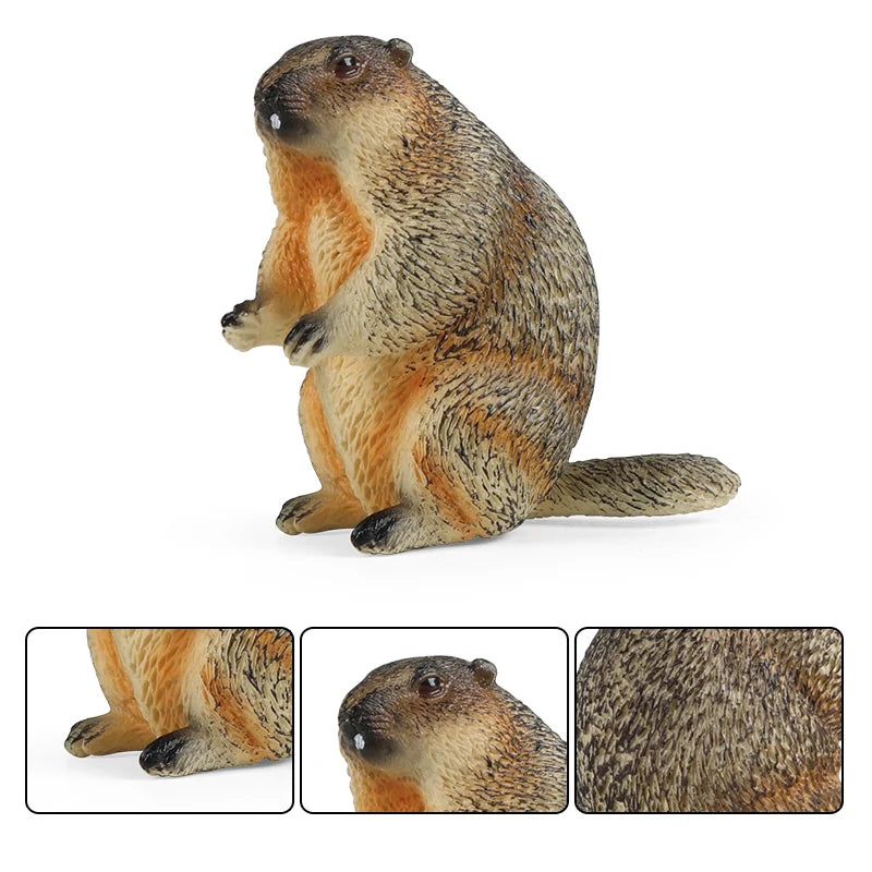 Oenux Wild Animals Simulation Rodent Marmot Mouse Model Squirrel Rat Chinchilla Action Figure Figurine Collection Cute Kid Toy