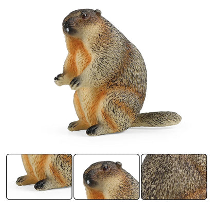 Oenux Wild Animals Simulation Rodent Marmot Mouse Model Squirrel Rat Chinchilla Action Figure Figurine Collection Cute Kid Toy