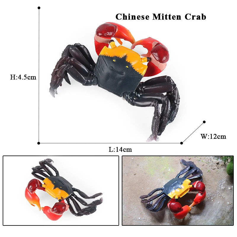 Oenux Simulation Ocean Sea Life Animals Model Lovely Crab Action Figures Toy Cake Toppers Collection Jouet Kids Education Gift
