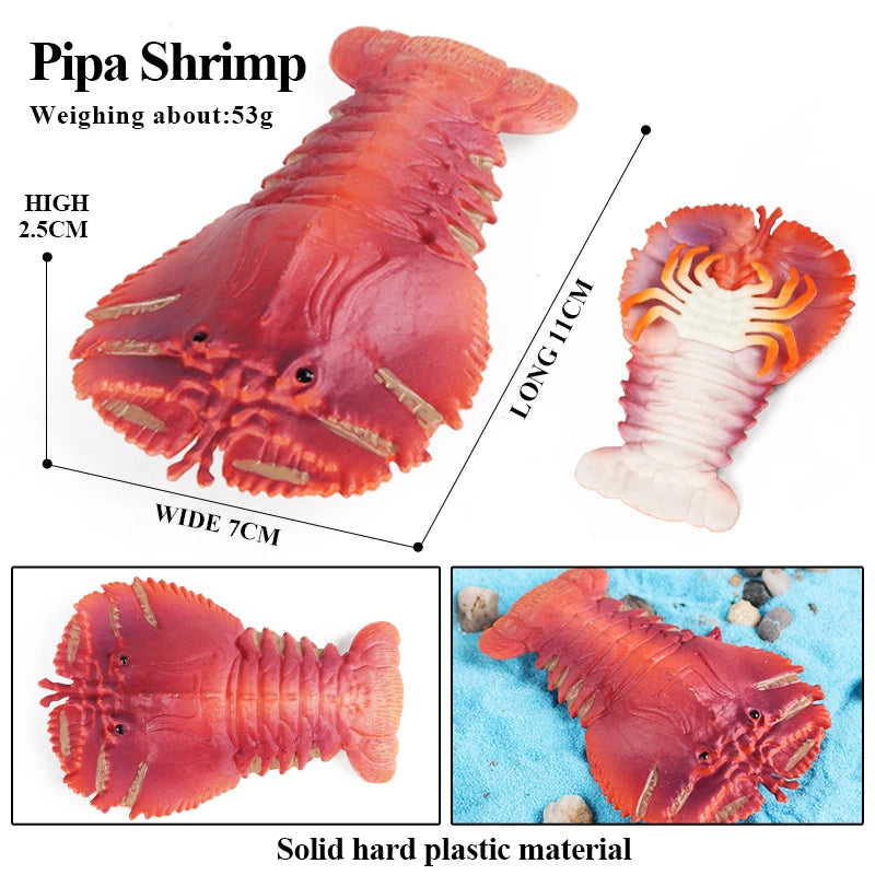 Oenux Ocean Animals Simulation Tiger Prawn Crayfish Shrimp Sea Life Model Figurines Action Figures Collection Toys For Kids Gift