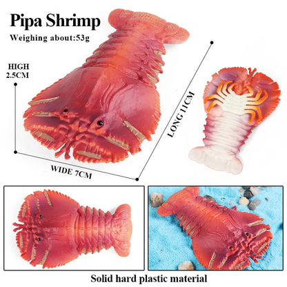 Oenux Ocean Animals Simulation Tiger Prawn Crayfish Shrimp Sea Life Model Figurines Action Figures Collection Toys For Kids Gift