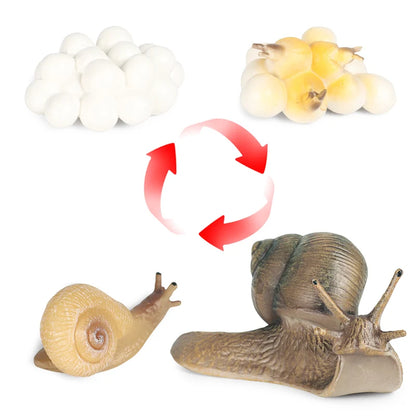Oenux Wild Insect Animals Snails Growth Cycle Model Garden Decoration Figurines PVC Miniature Cute Education Kids Toys