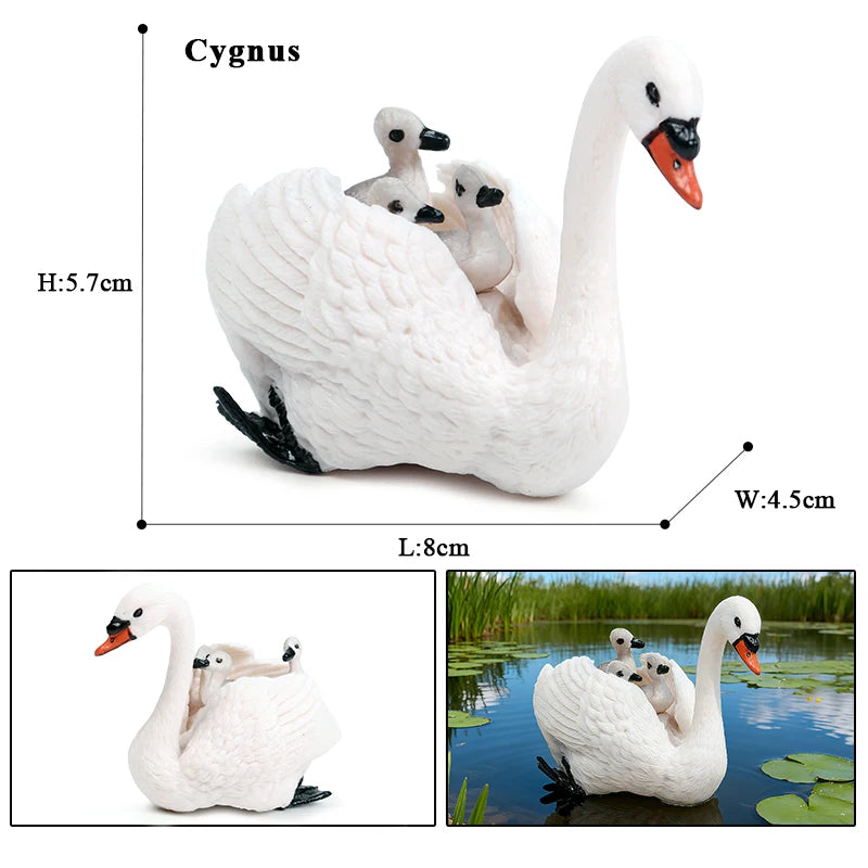 Oenux Poultry Model Simulation Goose Swan Gaggle Duck Flock Action Figures Farm Animals Figurine Miniature Education Kids Toy