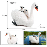 animals model 23