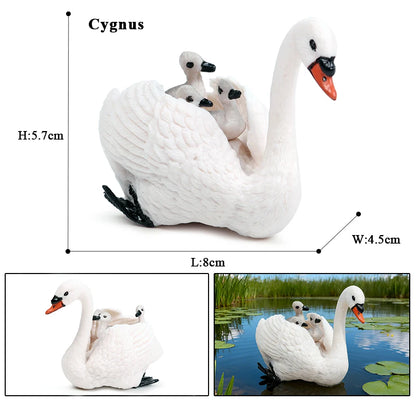 Oenux Poultry Model Simulation Goose Swan Gaggle Duck Flock Action Figures Farm Animals Figurine Miniature Education Kids Toy