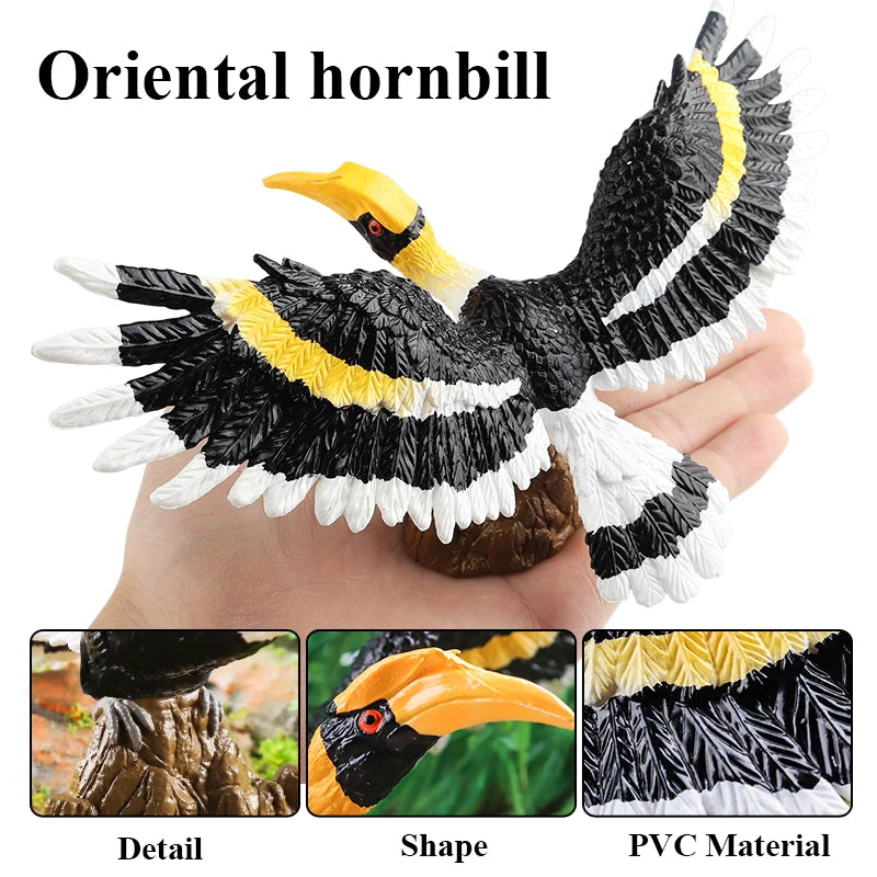 Oenux Garden Bird Figurines Snowy Owl Toucan Bucerotidae Animals Model PVC Action Figures Collection Toys For Kids Birthday Gift