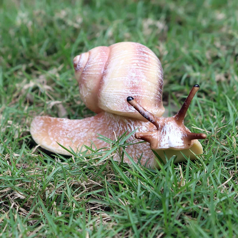 Oenux Wild Insect Animals Snails Growth Cycle Model Garden Decoration Figurines PVC Miniature Cute Education Kids Toys