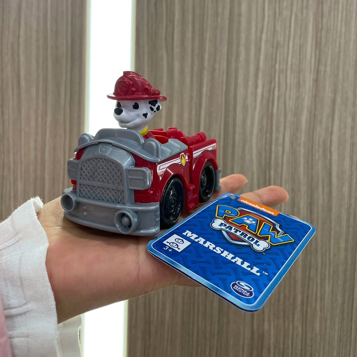 Genuine Paw Patrol 8-9CM Ryder Chase Skye Zuma Rocky Patrollers Anime Doll Action Figures Rescue Team Kids Birthday Gift Toy